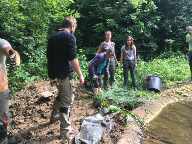 Un groupe aménage les abords de la mare dans un jardin arboré.