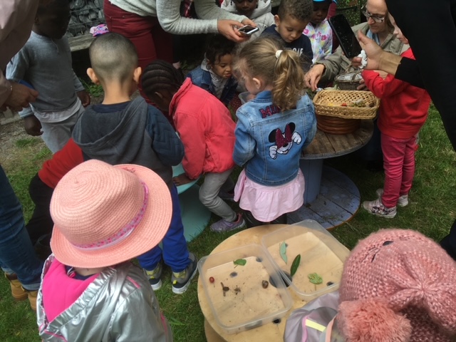 De jeunes enfants observent des éléments naturels autour d’une table.